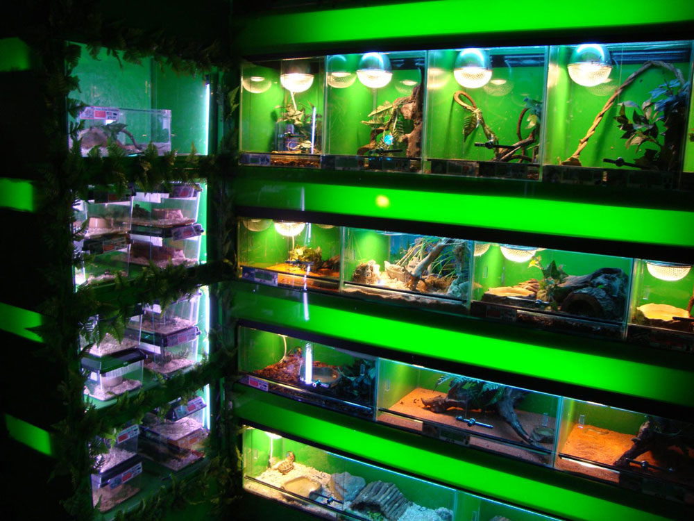 Universal waterlife reptiles warrington